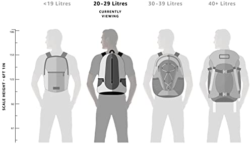 Skybags Casual Backpack 28L, 2 Main Compartments, Bottle Pocket, Front Pocket, Padded Shoulder Strap