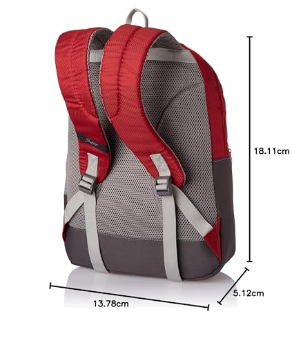 Skybags Casual Backpack 28L, 2 Main Compartments, Bottle Pocket, Front Pocket, Padded Shoulder Strap