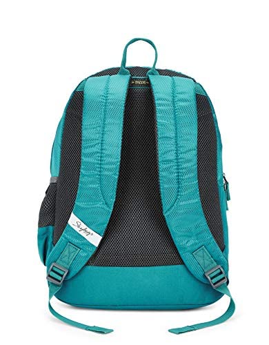 Skybags Casual Backpack 28L, 2 Main Compartments, Bottle Pocket, Front Pocket, Padded Shoulder Strap
