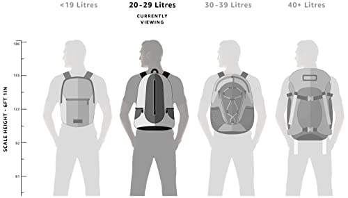Skybags Casual Backpack 28L, 2 Main Compartments, Bottle Pocket, Front Pocket, Padded Shoulder Strap