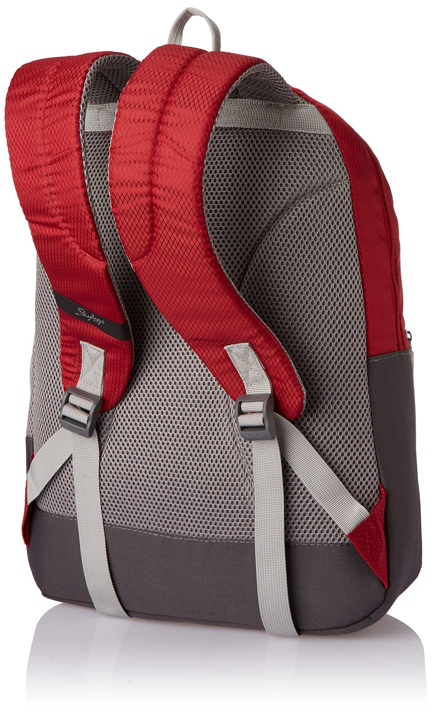 Skybags Casual Backpack 28L, 2 Main Compartments, Bottle Pocket, Front Pocket, Padded Shoulder Strap