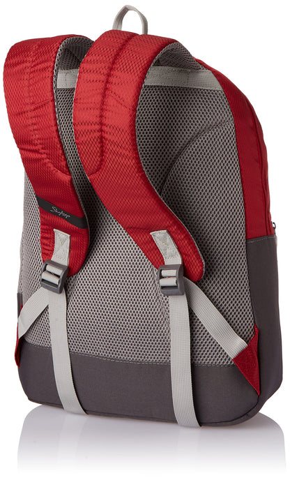 Skybags Casual Backpack 28L, 2 Main Compartments, Bottle Pocket, Front Pocket, Padded Shoulder Strap