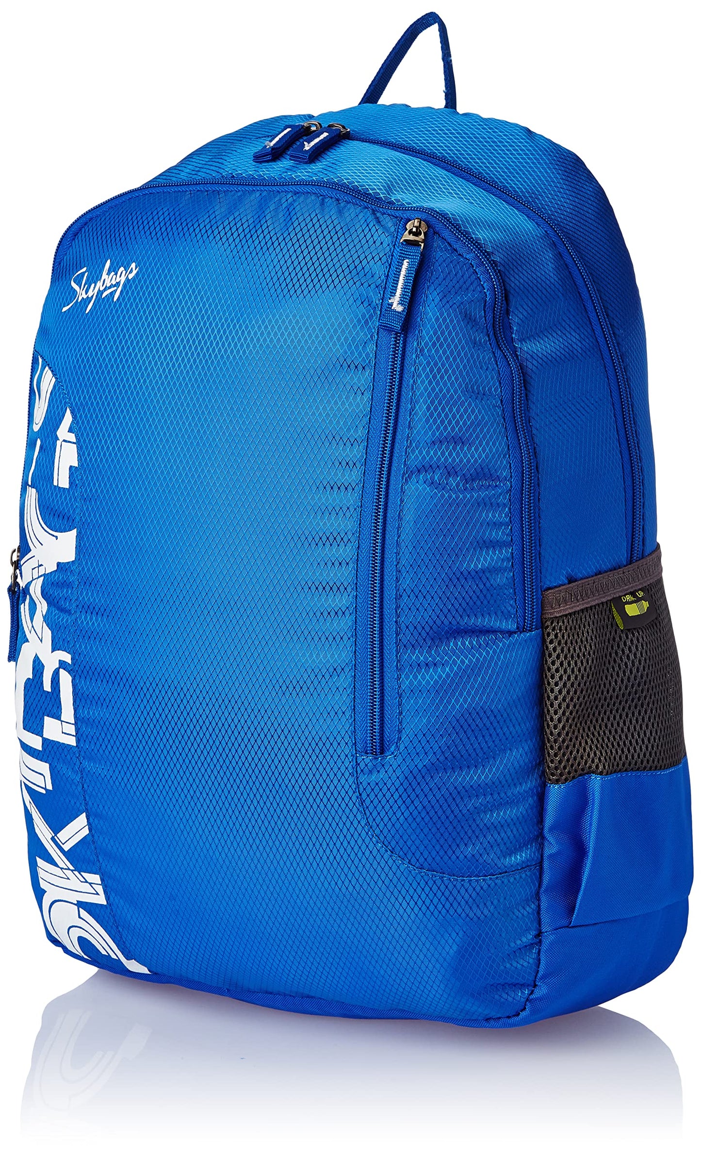 Skybags Casual Backpack 28L, 2 Main Compartments, Bottle Pocket, Front Pocket, Padded Shoulder Strap
